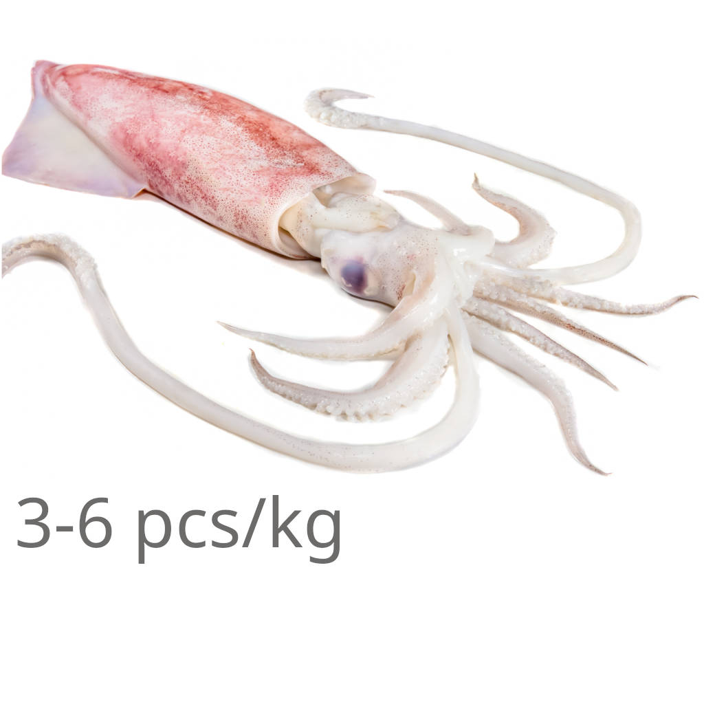 FZ Sotong 3-6 (PKT)