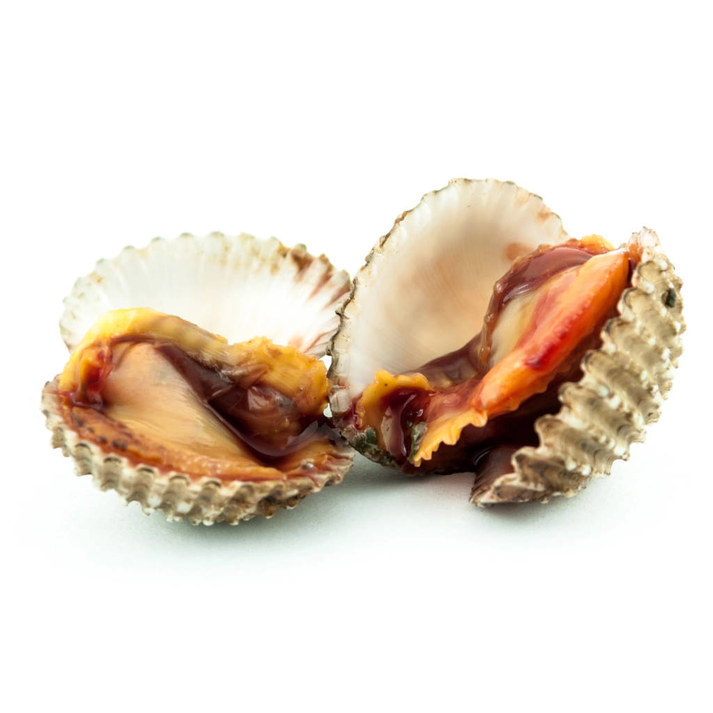 FZ Isi Kerang 500-Up (BLK) (PKT)