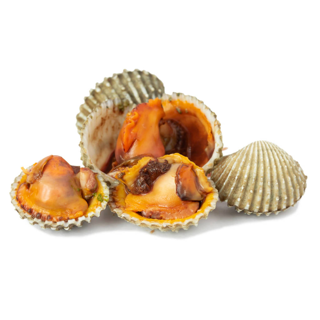 FZ Isi Kerang 500-Up (IQF) (PKT)