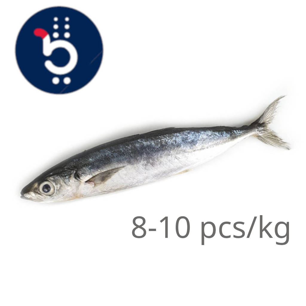 FZ Sardin Hitam 8-10 AAA (PKT)